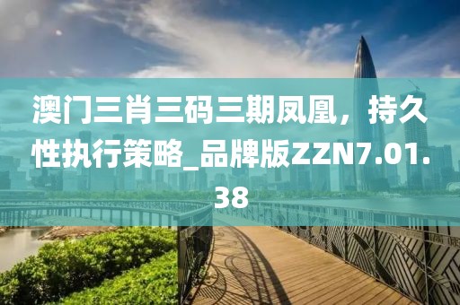 澳门三肖三码三期凤凰，持久性执行策略_品牌版ZZN7.01.38