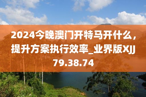 2024今晚澳门开特马开什么，提升方案执行效率_业界版XJJ79.38.74