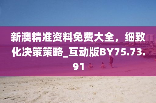 新澳精准资料免费大全，细致化决策策略_互动版BY75.73.91