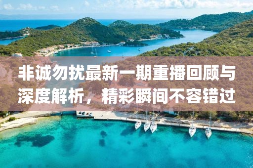 非诚勿扰最新一期重播回顾与深度解析，精彩瞬间不容错过
