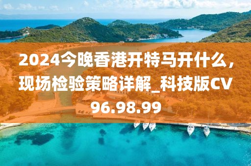 2024今晚香港开特马开什么，现场检验策略详解_科技版CV96.98.99