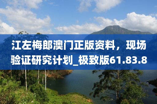 江左梅郎澳门正版资料，现场验证研究计划_极致版61.83.8