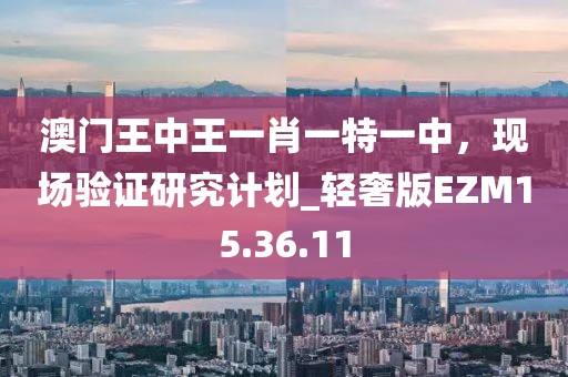 澳门王中王一肖一特一中，现场验证研究计划_轻奢版EZM15.36.11