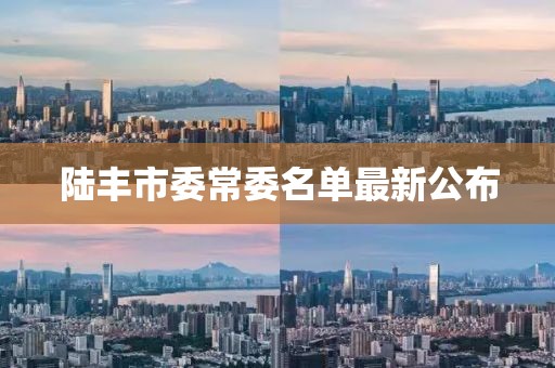 陆丰市委常委名单最新公布