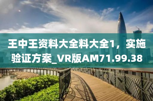 王中王资料大全料大全1，实施验证方案_VR版AM71.99.38