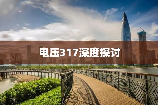 电压317深度探讨