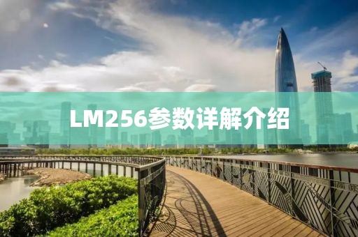 LM256参数详解介绍