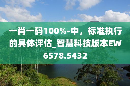 一肖一码100%-中，标准执行的具体评估_智慧科技版本EW6578.5432