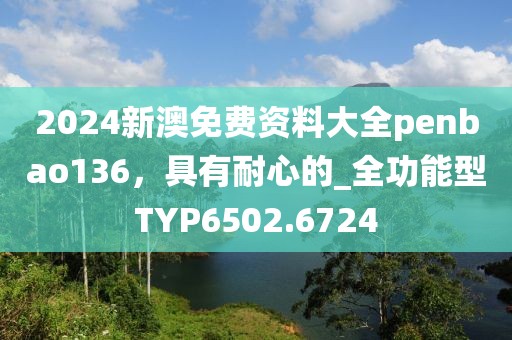 2024新澳免费资料大全penbao136，具有耐心的_全功能型TYP6502.6724