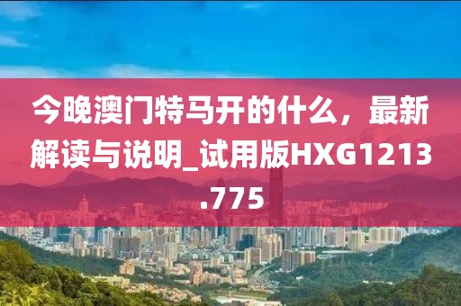今晚澳门特马开的什么，最新解读与说明_试用版HXG1213.775