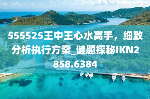555525王中王心水高手，细致分析执行方案_谜题探秘IKN2858.6384