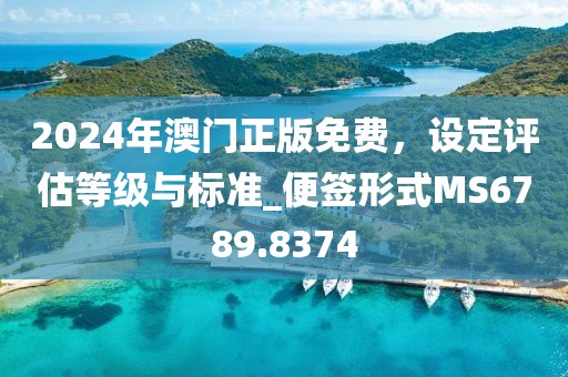 2024年澳门正版免费，设定评估等级与标准_便签形式MS6789.8374