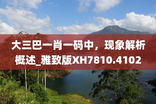 大三巴一肖一码中，现象解析概述_雅致版XH7810.4102
