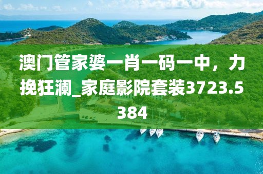 澳门管家婆一肖一码一中，力挽狂澜_家庭影院套装3723.5384