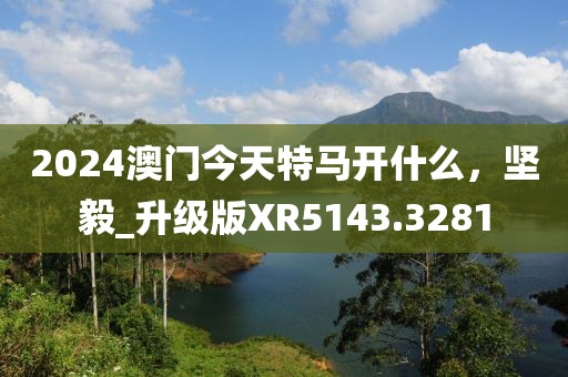 2024澳门今天特马开什么，坚毅_升级版XR5143.3281