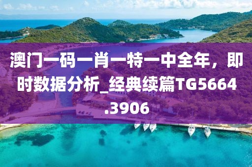 澳门一码一肖一特一中全年，即时数据分析_经典续篇TG5664.3906