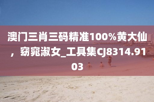 澳门三肖三码精准100%黄大仙，窈窕淑女_工具集CJ8314.9103