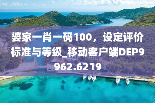 婆家一肖一码100，设定评价标准与等级_移动客户端DEP9962.6219