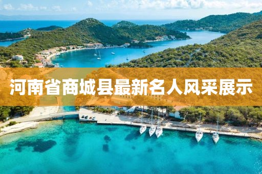 河南省商城县最新名人风采展示