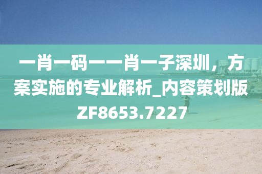 寻梦人 第61页