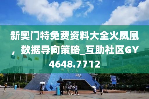新奥门特免费资料大全火凤凰，数据导向策略_互助社区GY4648.7712