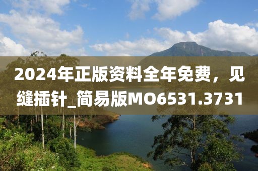 2024年正版资料全年免费，见缝插针_简易版MO6531.3731