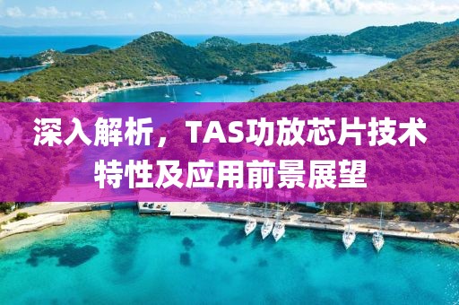 深入解析，TAS功放芯片技术特性及应用前景展望