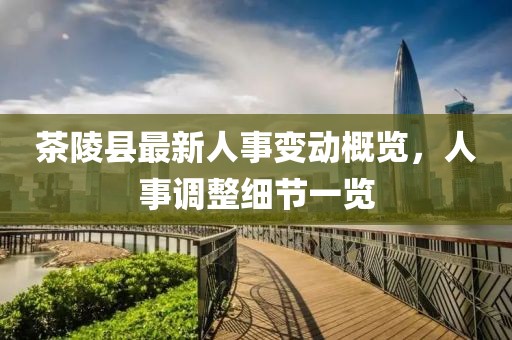 茶陵县最新人事变动概览，人事调整细节一览