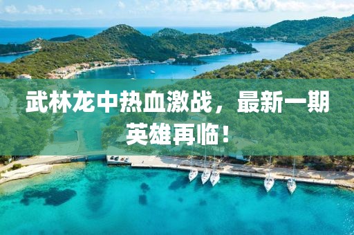 武林龙中热血激战，最新一期英雄再临！