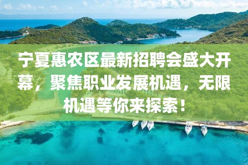 宁夏惠农区最新招聘会盛大开幕，聚焦职业发展机遇，无限机遇等你来探索！