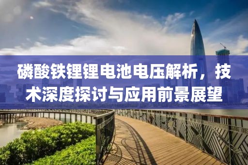 磷酸铁锂锂电池电压解析，技术深度探讨与应用前景展望