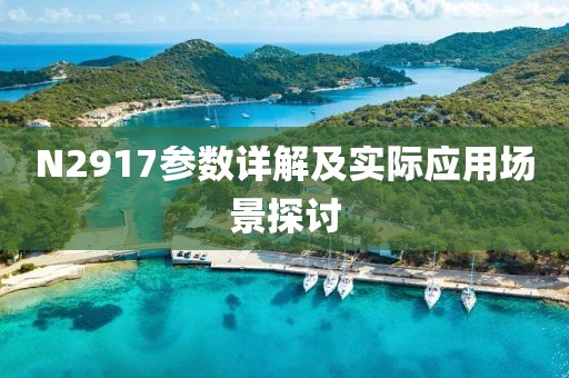 N2917参数详解及实际应用场景探讨