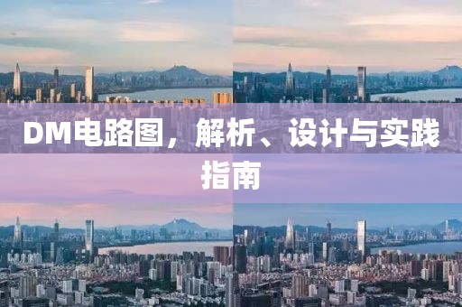 DM电路图，解析、设计与实践指南