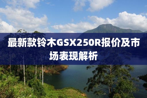 最新款铃木GSX250R报价及市场表现解析