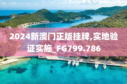2024新澳门正版挂牌,实地验证实施_FG799.786