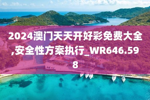 2024澳门天天开好彩免费大全,安全性方案执行_WR646.598