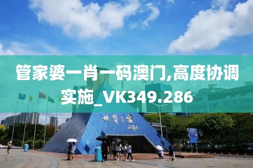 管家婆一肖一码澳门,高度协调实施_VK349.286