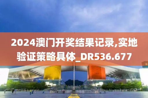 2024澳门开奖结果记录,实地验证策略具体_DR536.677