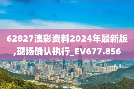62827澳彩资料2024年最新版,现场确认执行_EV677.856
