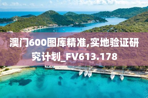澳门600图库精准,实地验证研究计划_FV613.178