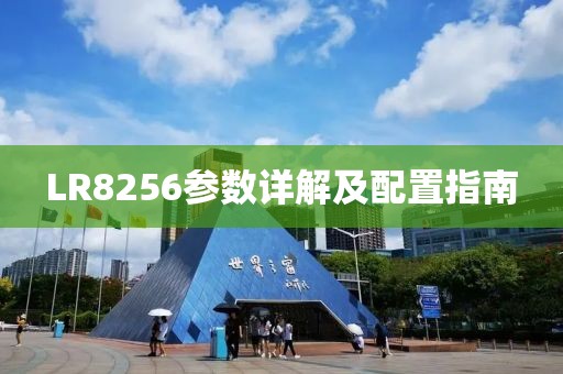LR8256参数详解及配置指南