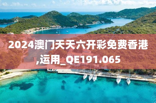 2024澳门天天六开彩免费香港,运用_QE191.065