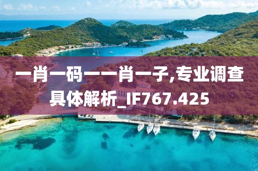 一肖一码一一肖一子,专业调查具体解析_IF767.425