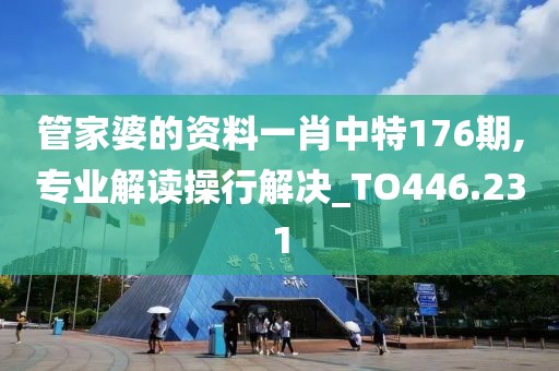管家婆的资料一肖中特176期,专业解读操行解决_TO446.231