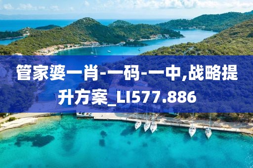 管家婆一肖-一码-一中,战略提升方案_LI577.886