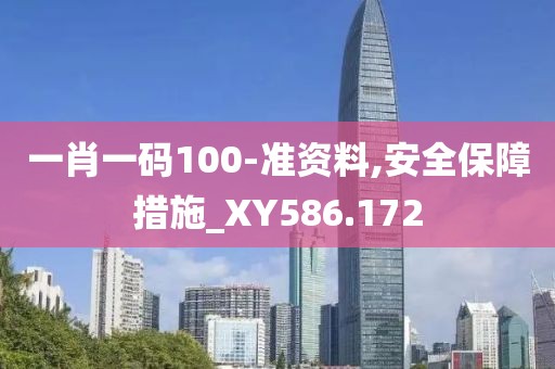 一肖一码100-准资料,安全保障措施_XY586.172