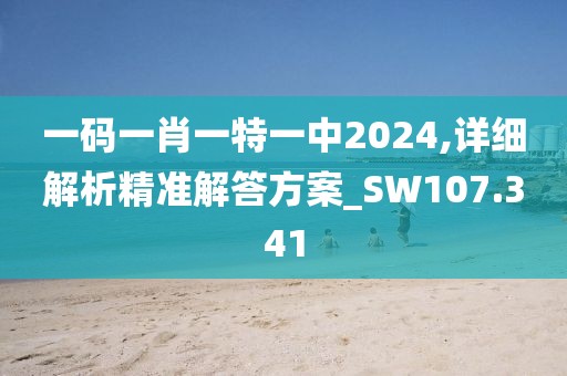 一码一肖一特一中2024,详细解析精准解答方案_SW107.341