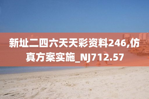 新址二四六天天彩资料246,仿真方案实施_NJ712.57