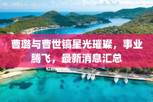 曹璐与曹世镐星光璀璨，事业腾飞，最新消息汇总