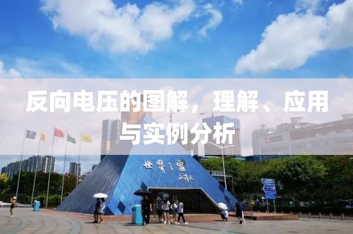 反向电压的图解，理解、应用与实例分析